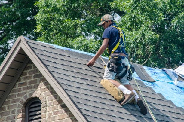 Best Gutter Installation and Roofing  in Mineral Springs, NC